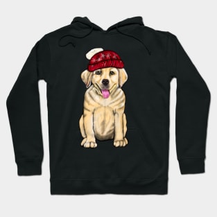 Labrador retriever- festive cute Golden Labrador retriever puppy dog in winter beanie hat Hoodie